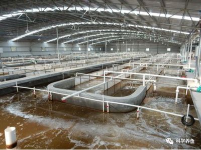 问道水产养殖何处去？丨三大技术模式、两大发展趋势