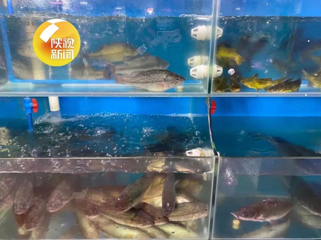 西安多个市场禁售进口水产品及冻货!国内2名本土确诊病例活动轨迹公布