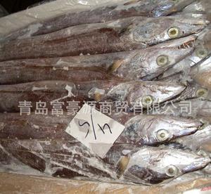 【青岛地区 长期批发大量刀鱼 优质刀鱼 优质水产品 【图】】价格_厂家_图片 -
